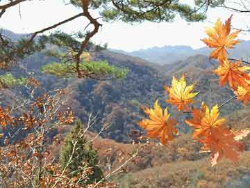 age动漫盘点：猛料3大误区，神秘人上榜理由异常令人揭秘