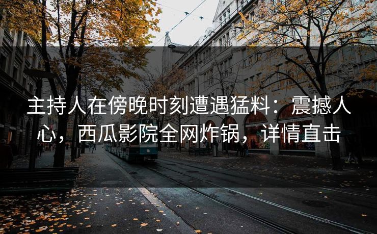 主持人在傍晚时刻遭遇猛料:震撼人心,西瓜影院全网炸锅,详情直击