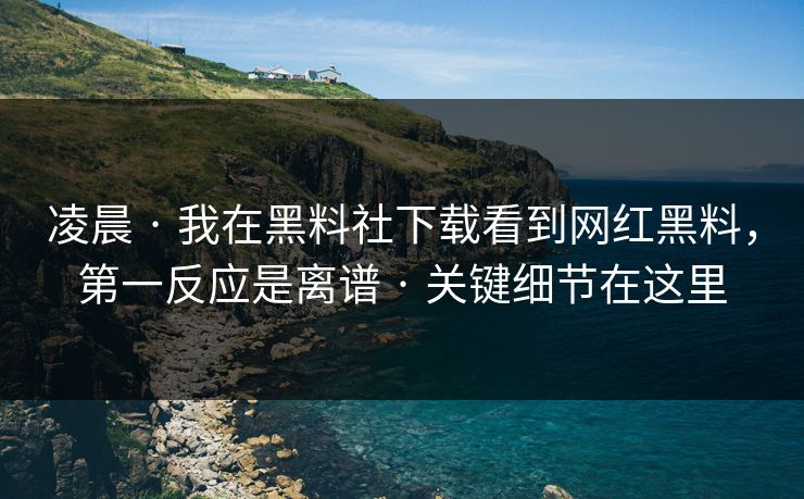 凌晨 · 我在黑料社下载看到网红黑料，第一反应是离谱 · 关键细节在这里